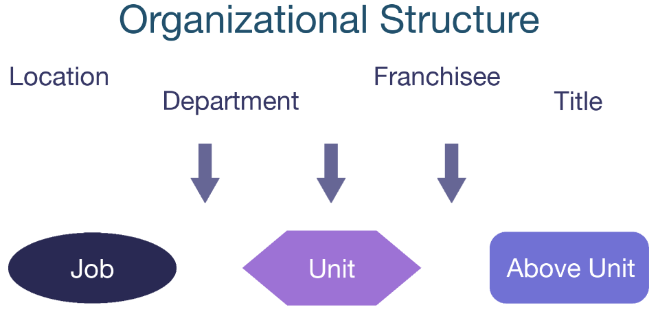 OrgStruct_Overview-02.png