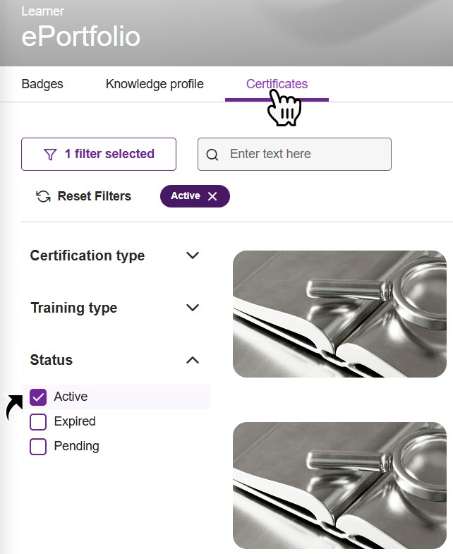active_certificates_filter.jpg