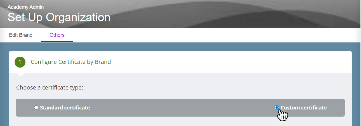 certificate by brand.jpg