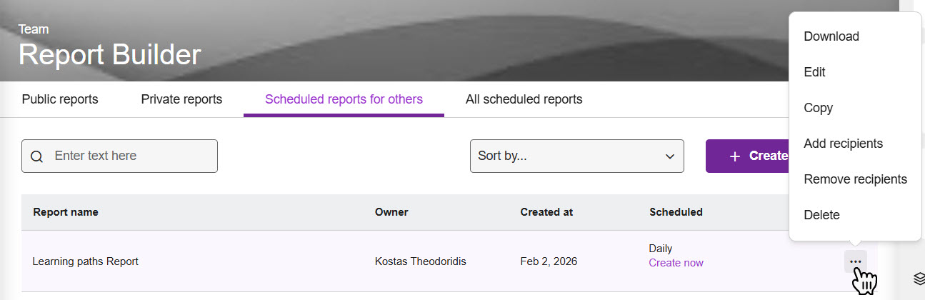 scheduled report options 2.jpg