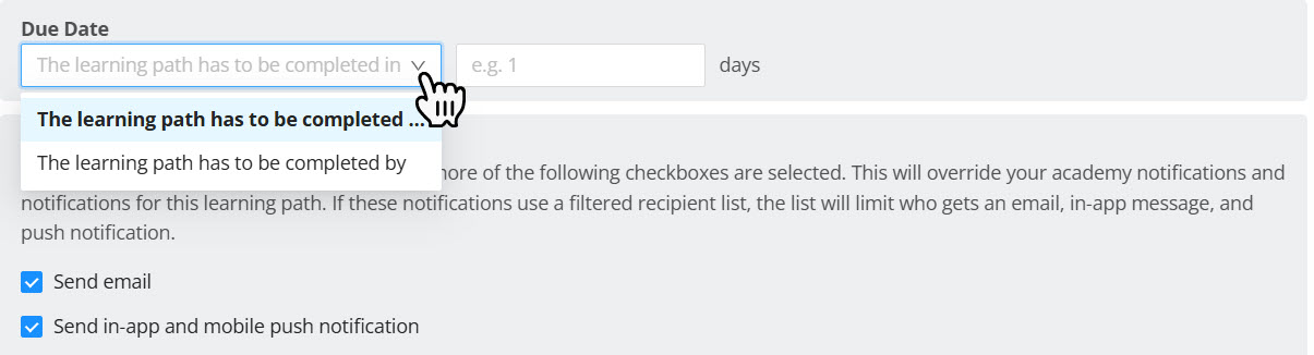 due date options.jpg