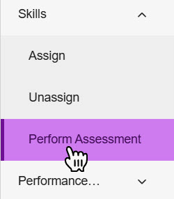 perform assessment.jpg