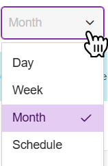 options.png